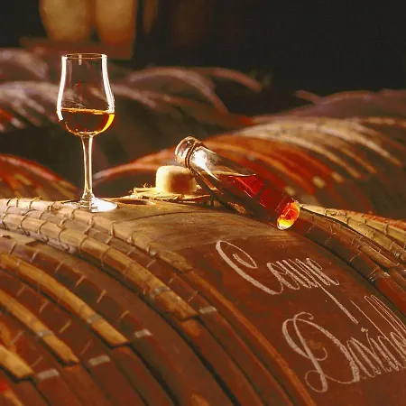 Vila Luxury In France With Pool And Garden