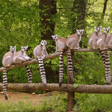 Luxury In France With Pool And Garden Βίλα *