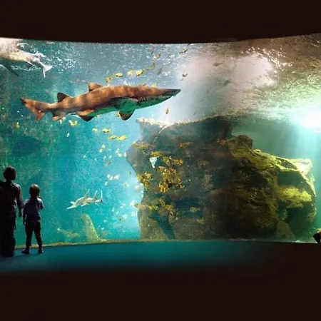 Luxury In France With Pool And Garden Vila Vasles