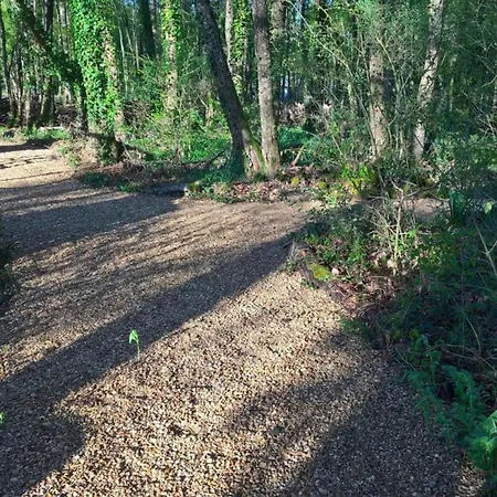 Luxury In France With Pool And Garden