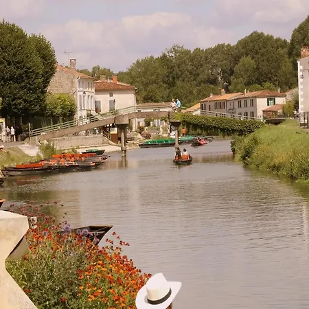 Luxury In France With Pool And Garden Vasles