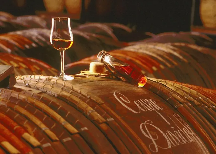 Villa Luxury In France With Pool And Garden