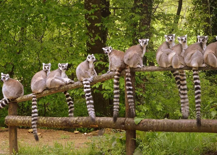 Luxury In France With Pool And Garden Villa *