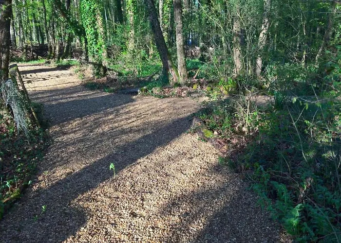 Luxury In France With Pool And Garden