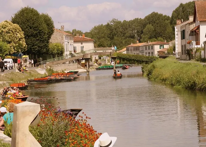 Luxury In France With Pool And Garden Vasles